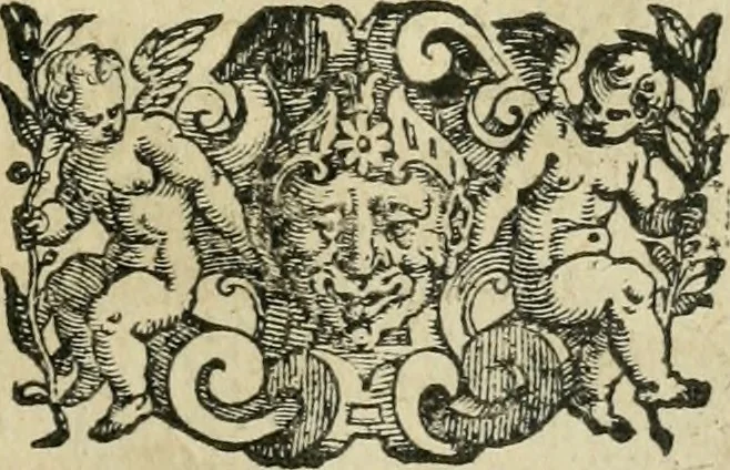 An illustration from Le metamorfosi di Ovidio, 1584, leaf 330