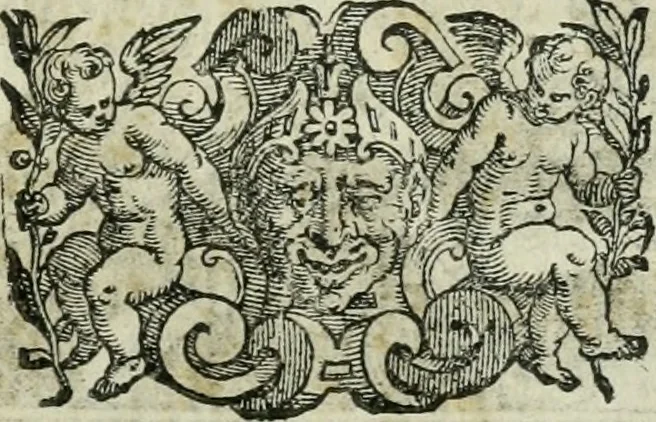 An illustration from Le metamorfosi di Ovidio, 1584, leaf 464