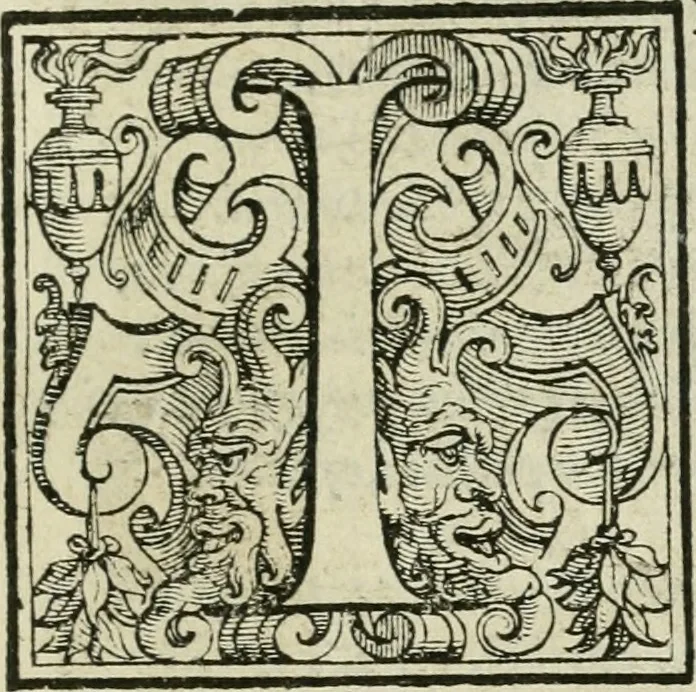 An illustration from Le metamorfosi di Ovidio, 1584, leaf 48