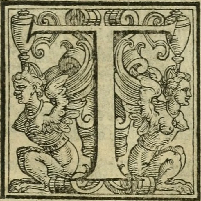 An illustration from Le metamorfosi di Ovidio, 1584, leaf 502