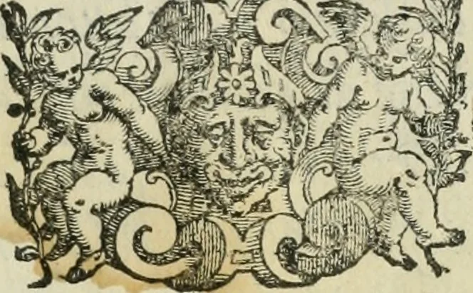 An illustration from Le metamorfosi di Ovidio, 1584, leaf 6