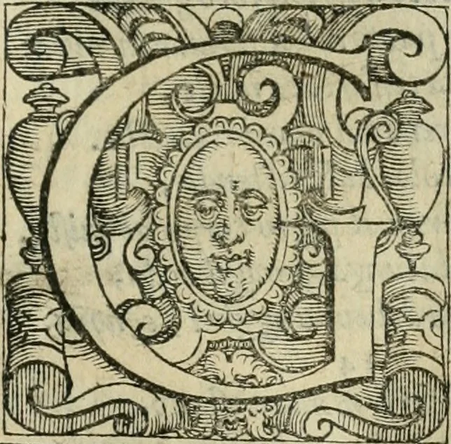An illustration from Le metamorfosi di Ovidio, 1584, leaf 86