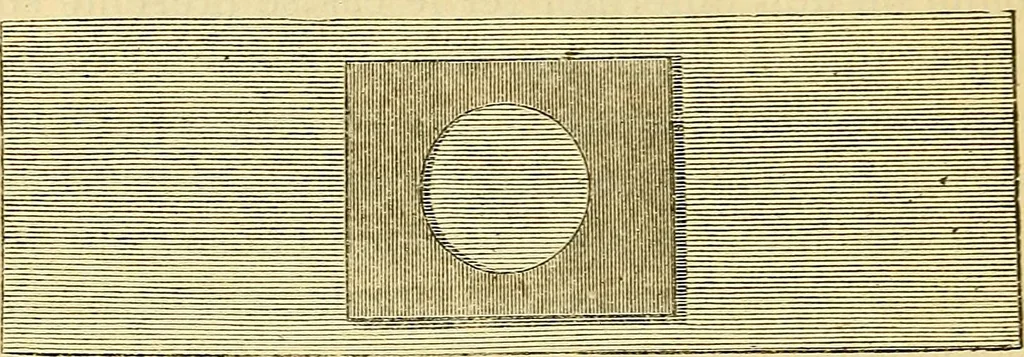 An illustration from Le microscope manuel a l'usage des étudiants, 1867, leaf 253