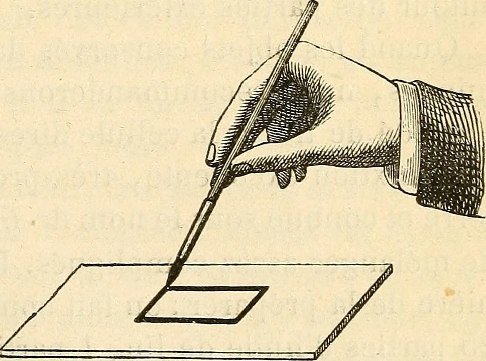 An illustration from Le microscope manuel a l'usage des étudiants, 1867, leaf 258