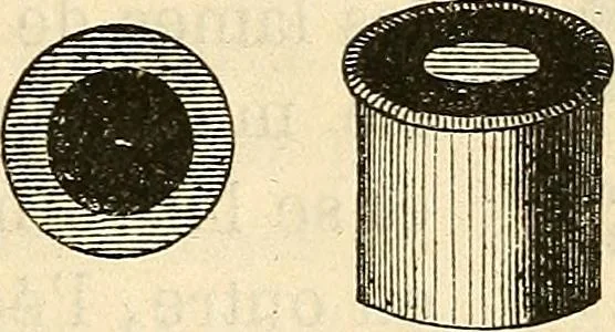 An illustration from Le microscope manuel a l'usage des étudiants, 1867, leaf 48