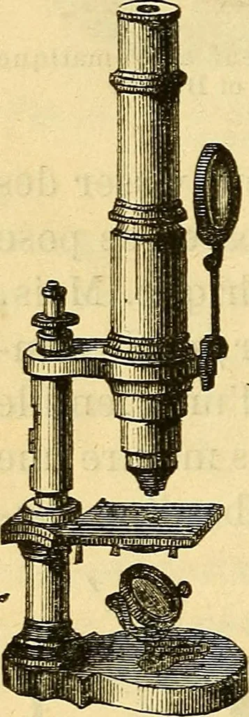 An illustration from Le microscope manuel a l'usage des étudiants, 1867, leaf 49