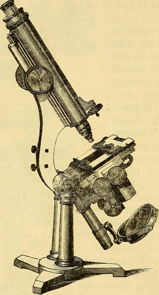 An illustration from Le microscope manuel a l'usage des étudiants, 1867, leaf 53