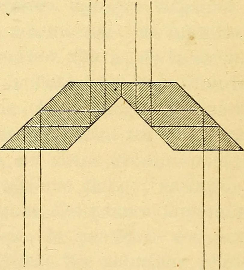 An illustration from Le microscope manuel a l'usage des étudiants, 1867, leaf 71