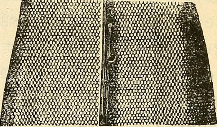 An illustration from Le microscope manuel a l'usage des étudiants, 1867, leaf 90