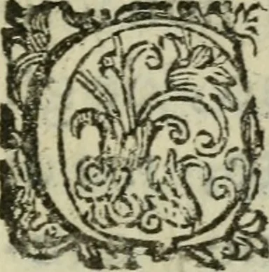 An illustration from Le minere della pittura : compendiosa informazione, 1664, leaf 10
