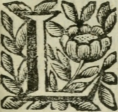 An illustration from Le minere della pittura : compendiosa informazione, 1664, leaf 450