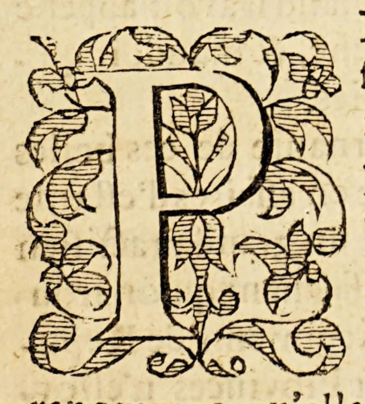 An illustration from Le miroir de la cruelle, & horrible tyrannie espagnole perpetree au Pays Bas, par le tyran duc de Albe, & aultres co[m]mandeurs de par le roy Philippe le deuxiesme. : On a adjoinct la deuxiesme partie de les tyrannies commises aux Indes occidentales par les Espagnols. ., 1620, leaf 15