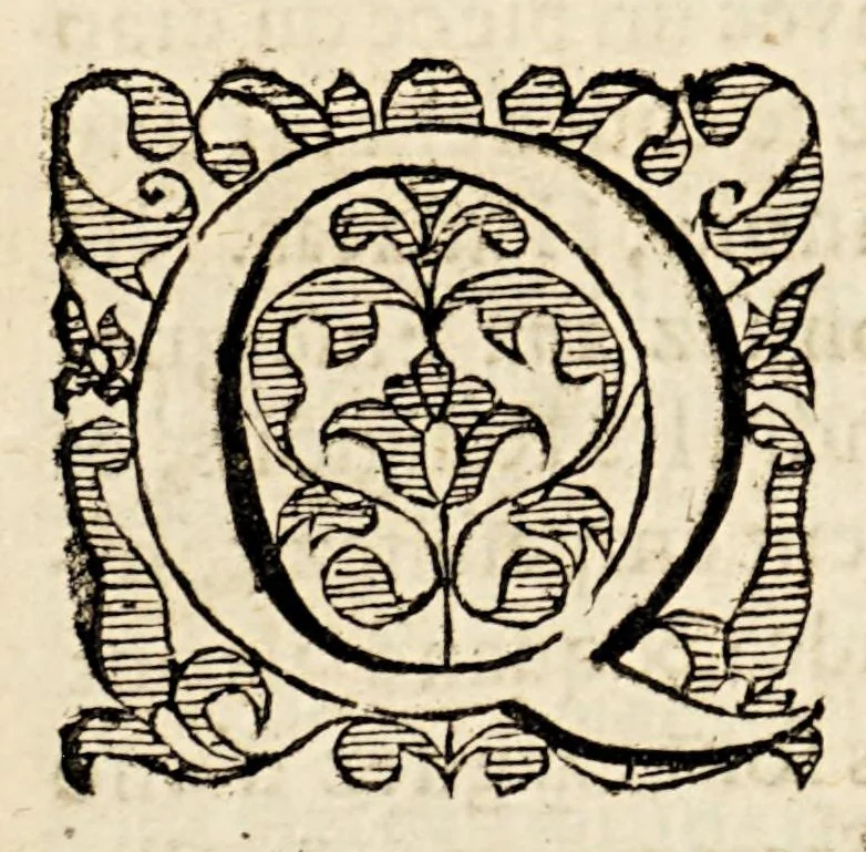 An illustration from Le miroir de la cruelle, & horrible tyrannie espagnole perpetree au Pays Bas, par le tyran duc de Albe, & aultres co[m]mandeurs de par le roy Philippe le deuxiesme. : On a adjoinct la deuxiesme partie de les tyrannies commises aux Indes occidentales par les Espagnols. ., 1620, leaf 193
