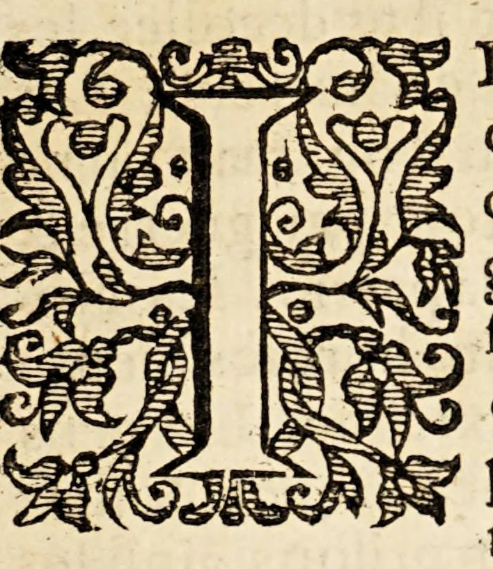 An illustration from Le miroir de la cruelle, & horrible tyrannie espagnole perpetree au Pays Bas, par le tyran duc de Albe, & aultres co[m]mandeurs de par le roy Philippe le deuxiesme. : On a adjoinct la deuxiesme partie de les tyrannies commises aux Indes occidentales par les Espagnols. ., 1620, leaf 9