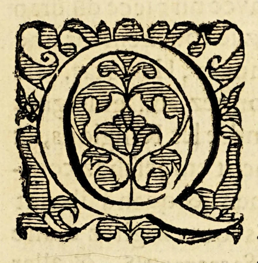 An illustration from Le miroir de la tyrannie espagnole perpetree aux Indes Occidentales. : On verra icy la cruaute plus que inhumaine, commise par les Espagnols, aussi la description de ces terres, peuples, et leur nature., 1620, leaf 9