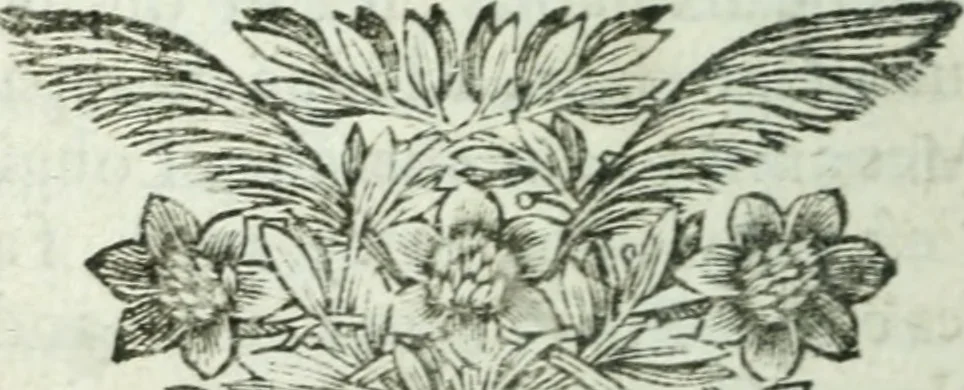 An illustration from Le Missionaire paroissial [sur les catechismes, 1685, leaf 261