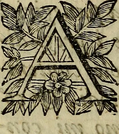 An illustration from Le misteriose pitture del Palazzo Moroni, 1655, leaf 9