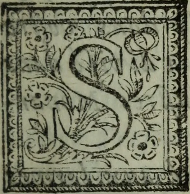 An illustration from Le monarqve; ov, Les devoirs dv sovverain, 1664, leaf 8