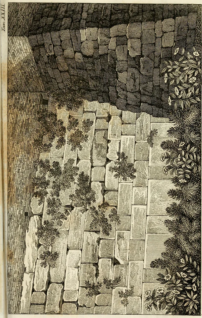 An illustration from Le mura di Roma, 1820, leaf 464
