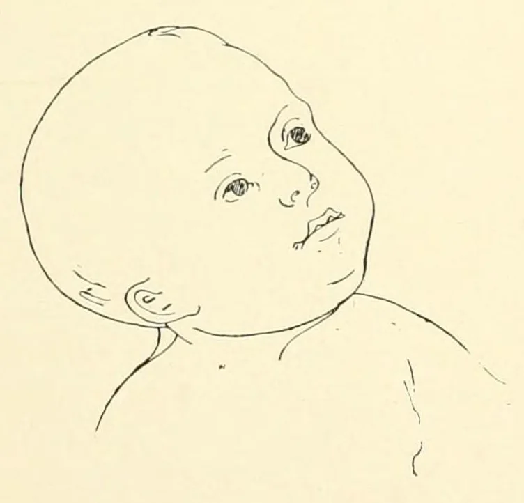An illustration from Le Musée de Toulouse : peinture-sculpture, 1906, leaf 65