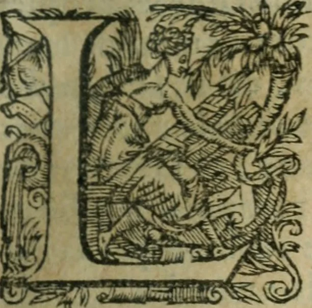 An illustration from Le mystere d'iniqvité, c'est à dire l'histoire de la papavté. Par qvels progrez elle est montée à ce comble, & quelles oppositions les gens de bien lui ont faict de temps en temps. Ou sont aussi defendus les droicts des empereurs, rois & princes chrestiens, contre les assertions des cardinaux Bellarmin & Baronius, 1612, leaf 46