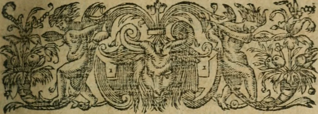 An illustration from Le mystere d'iniqvité, c'est à dire l'histoire de la papavté. Par qvels progrez elle est montée à ce comble, & quelles oppositions les gens de bien lui ont faict de temps en temps. Ou sont aussi defendus les droicts des empereurs, rois & princes chrestiens, contre les assertions des cardinaux Bellarmin & Baronius, 1612, leaf 46
