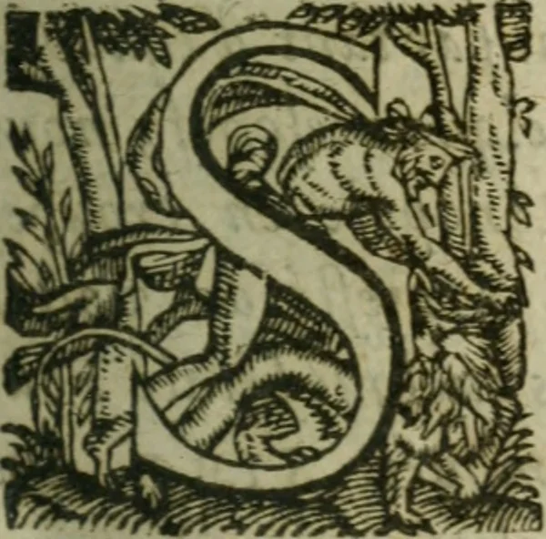 An illustration from Le mystere d'iniqvité, c'est à dire l'histoire de la papavté. Par qvels progrez elle est montée à ce comble, & quelles oppositions les gens de bien lui ont faict de temps en temps. Ou sont aussi defendus les droicts des empereurs, rois & princes chrestiens, contre les assertions des cardinaux Bellarmin & Baronius, 1612, leaf 8