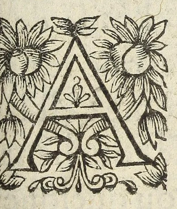 An illustration from L'Endimion, 1624, leaf 163