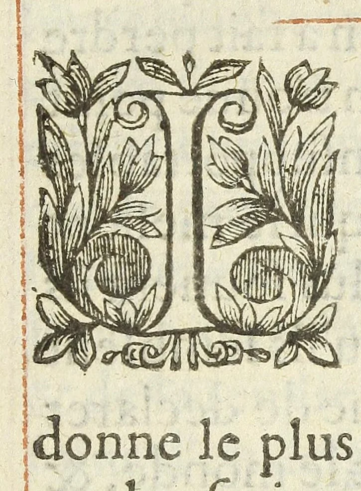 An illustration from L'Endimion, 1624, leaf 21