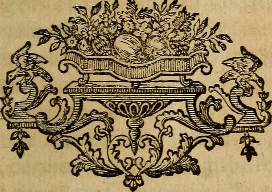 An illustration from Le Newtonianisme pour les dames, ou, Entretiens sur la lumiere, sur les couleurs, et sur l'attraction, 1739, leaf 234