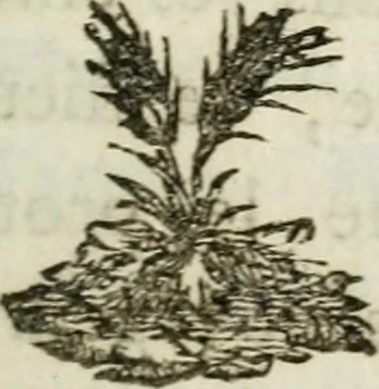 An illustration from L'enfer des peuples anciens, 1784, leaf 222