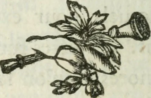 An illustration from L'enfer des peuples anciens, 1784, leaf 23