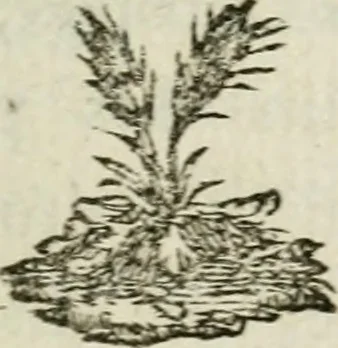 An illustration from L'enfer des peuples anciens, 1784, leaf 40