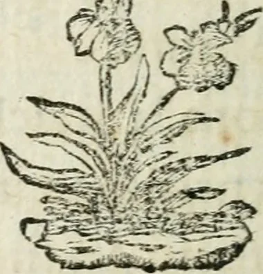 An illustration from L'enfer des peuples anciens, 1784, leaf 461