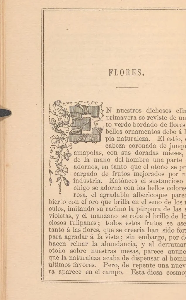 An illustration from El Lenguaje de las flores y el de las frutas : con algunos emblemas de las piedras y los colores, 1882, leaf 22