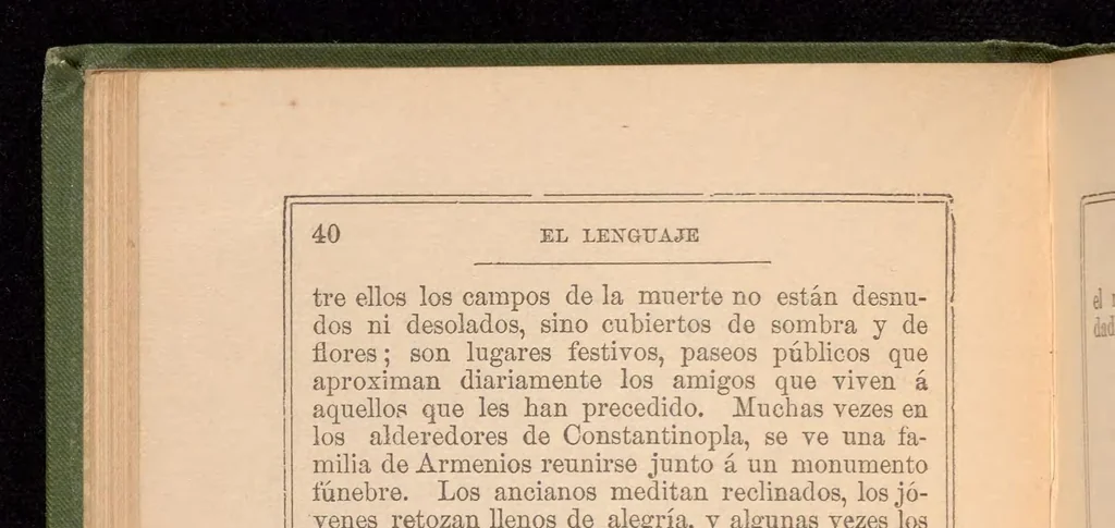 An illustration from El Lenguaje de las flores y el de las frutas : con algunos emblemas de las piedras y los colores, 1882, leaf 52