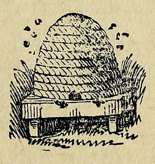 An illustration from Le nouveau testament, en langue crise, d'après les quatre évangélistes, ou, Concordance des quatre évangiles, 1872, leaf 197