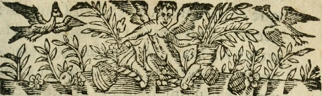 An illustration from Le novveav Cynee; ov, Discovrs des occasions et moyens d'etablir vne paix generale & la liberté du commerce par tout le monde, 1623, leaf 16