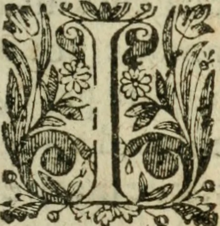 An illustration from Le novveav Cynee; ov, Discovrs des occasions et moyens d'etablir vne paix generale & la liberté du commerce par tout le monde, 1623, leaf 16