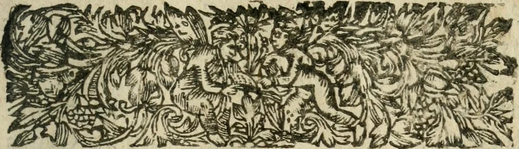 An illustration from Le novveav Cynee; ov, Discovrs des occasions et moyens d'etablir vne paix generale & la liberté du commerce par tout le monde, 1623, leaf 242