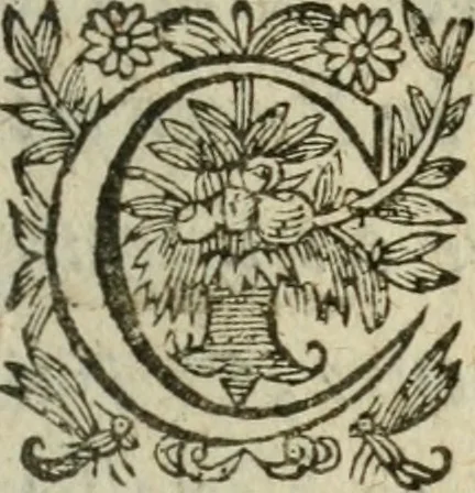 An illustration from Le novveav Cynee; ov, Discovrs des occasions et moyens d'etablir vne paix generale & la liberté du commerce par tout le monde, 1623, leaf 6