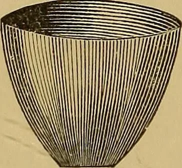 An illustration from The lens, 1872, leaf 41