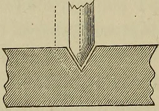 An illustration from The lens, 1873, leaf 235