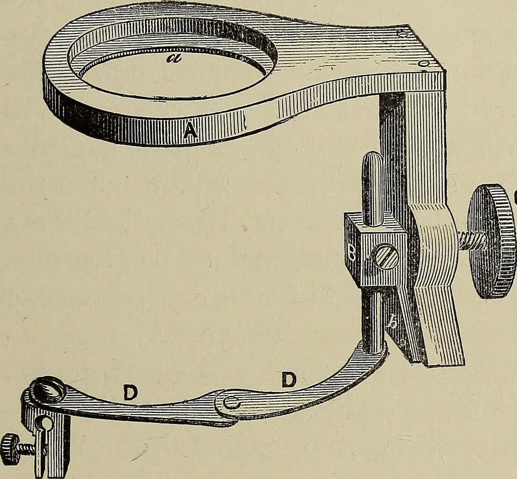 An illustration from The lens, 1873, leaf 44