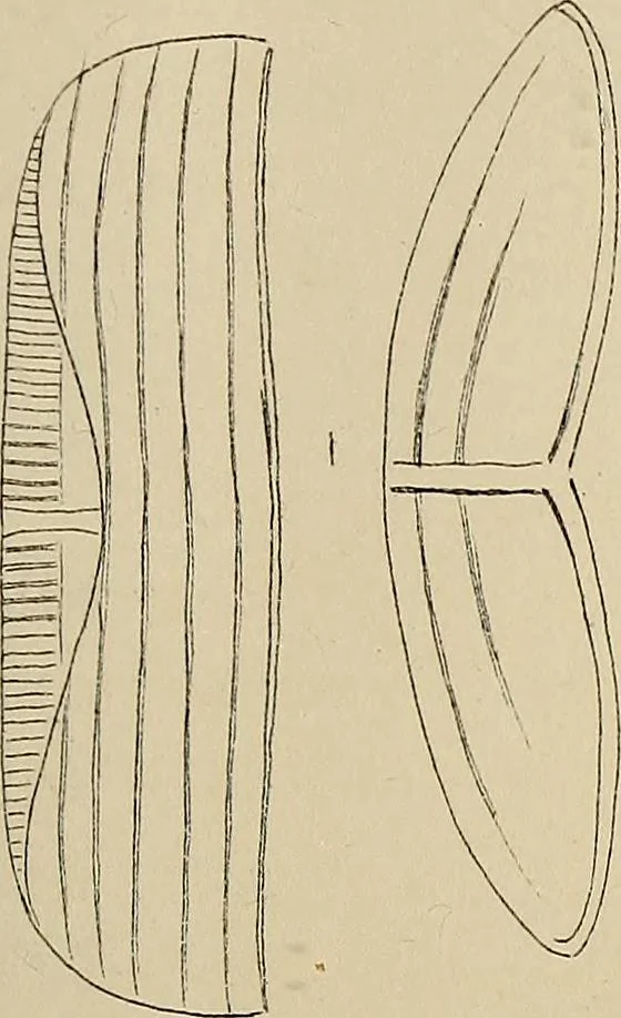 An illustration from The lens, 1873, leaf 84