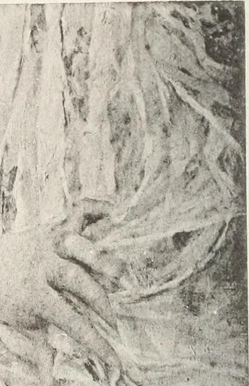 An illustration from Le Nu au salon, 1888, leaf 131