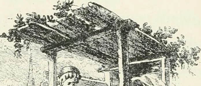 An illustration from Le Nu au salon, 1888, leaf 21