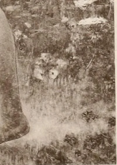 An illustration from Le Nu au salon, 1888, leaf 52