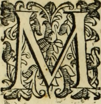 An illustration from Le nvove mvsiche di Givlio Caccini detto Romano, 1602, leaf 33