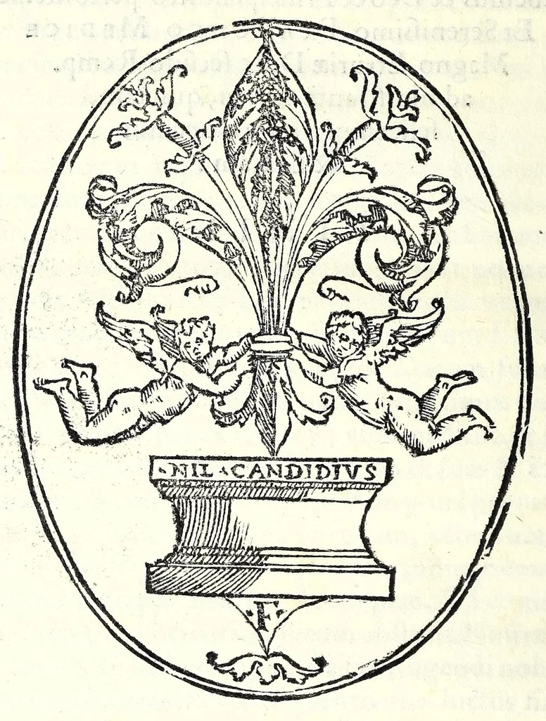 An illustration from Leonardi Ginii Cortonensis In funere serenissimi Cosmi Medicis magni Etruriae ducis funebris laudatio ad Senenses, 1574, leaf 26